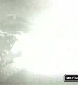 736.jpg