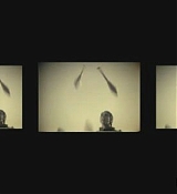 117.jpg