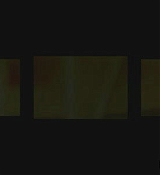 181.jpg