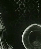 189.jpg