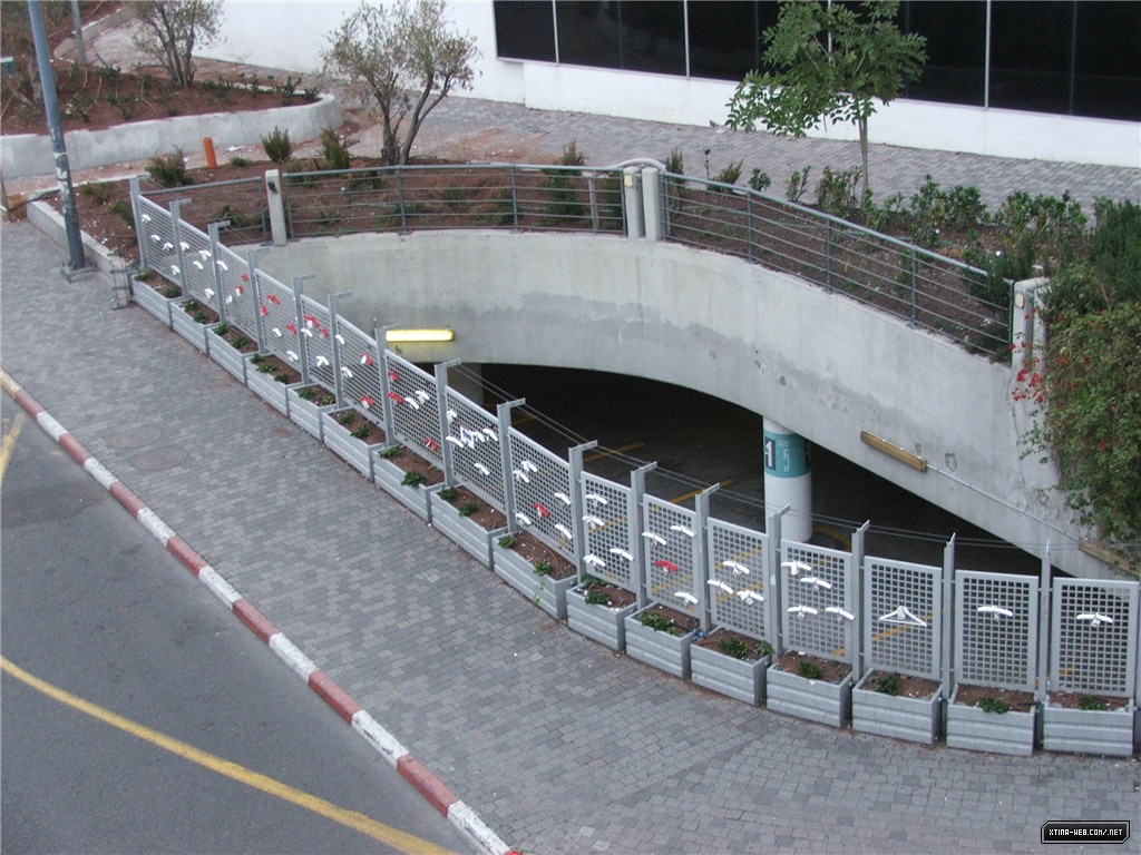 06.jpg