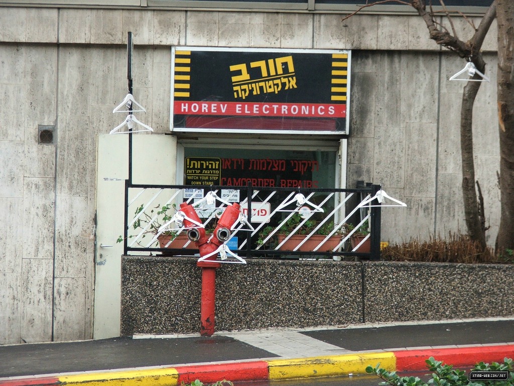 15.jpg