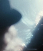 1184.jpg