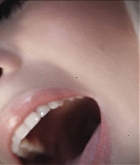 77.jpg