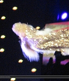 112.jpg