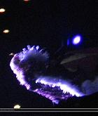 113.jpg