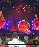 96.jpg