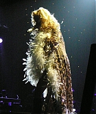 09.jpg