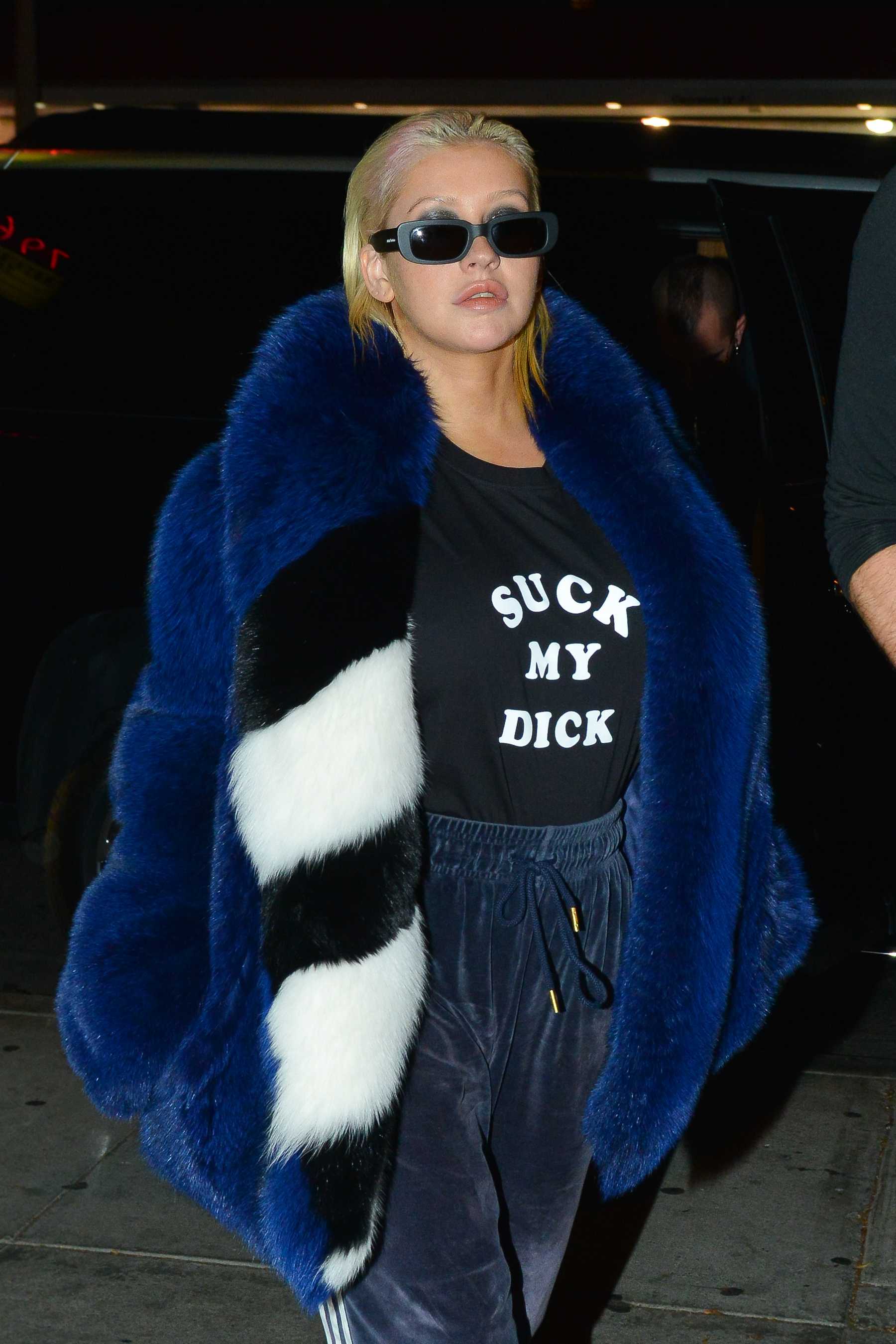 Christina_Aguilera_-_out_for_dinner_at_Delilah_restaurant_in_Hollywood_on_November_3-19.jpg