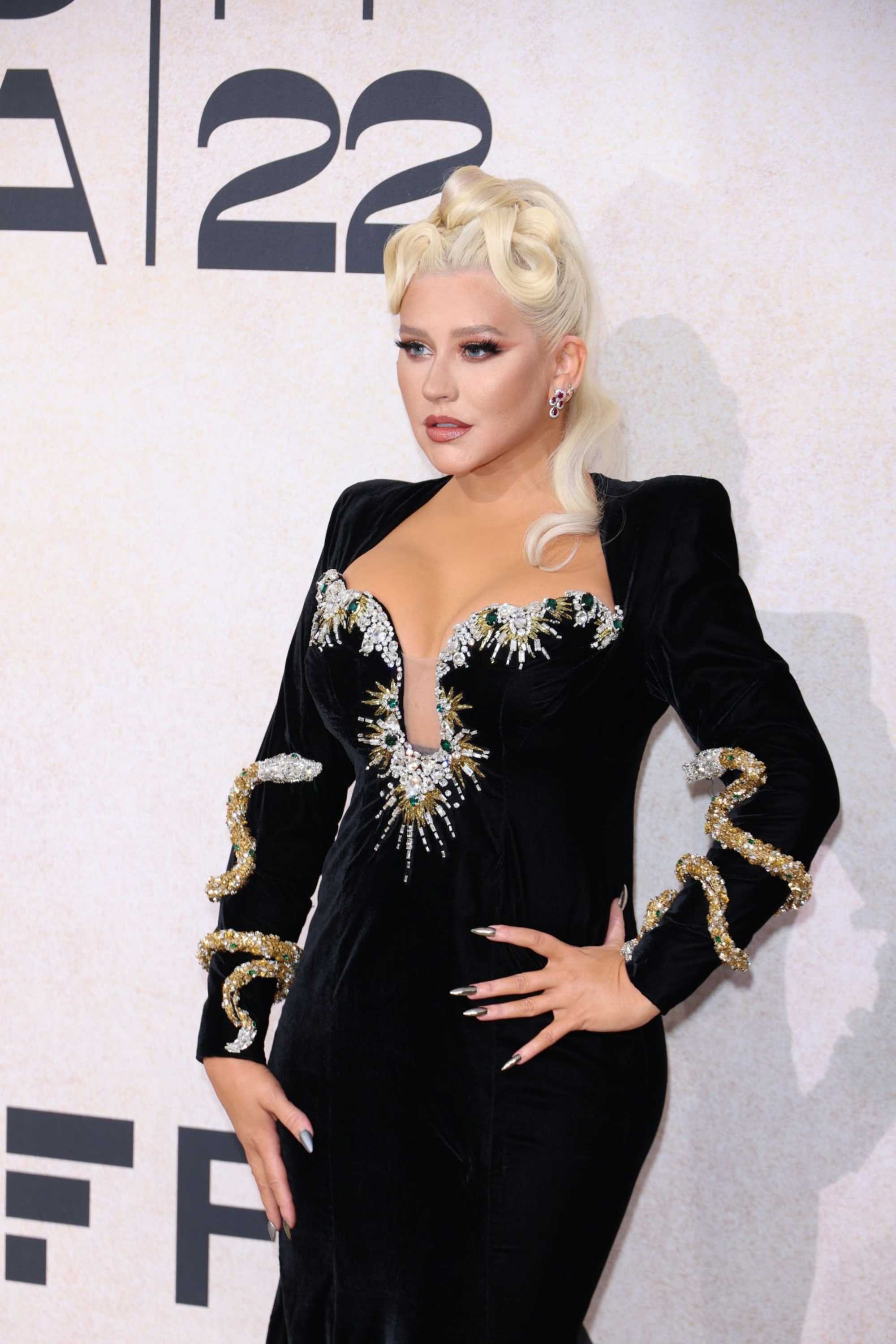 amfAR_Gala_Cannes_2022_-_Arrivals118.jpg