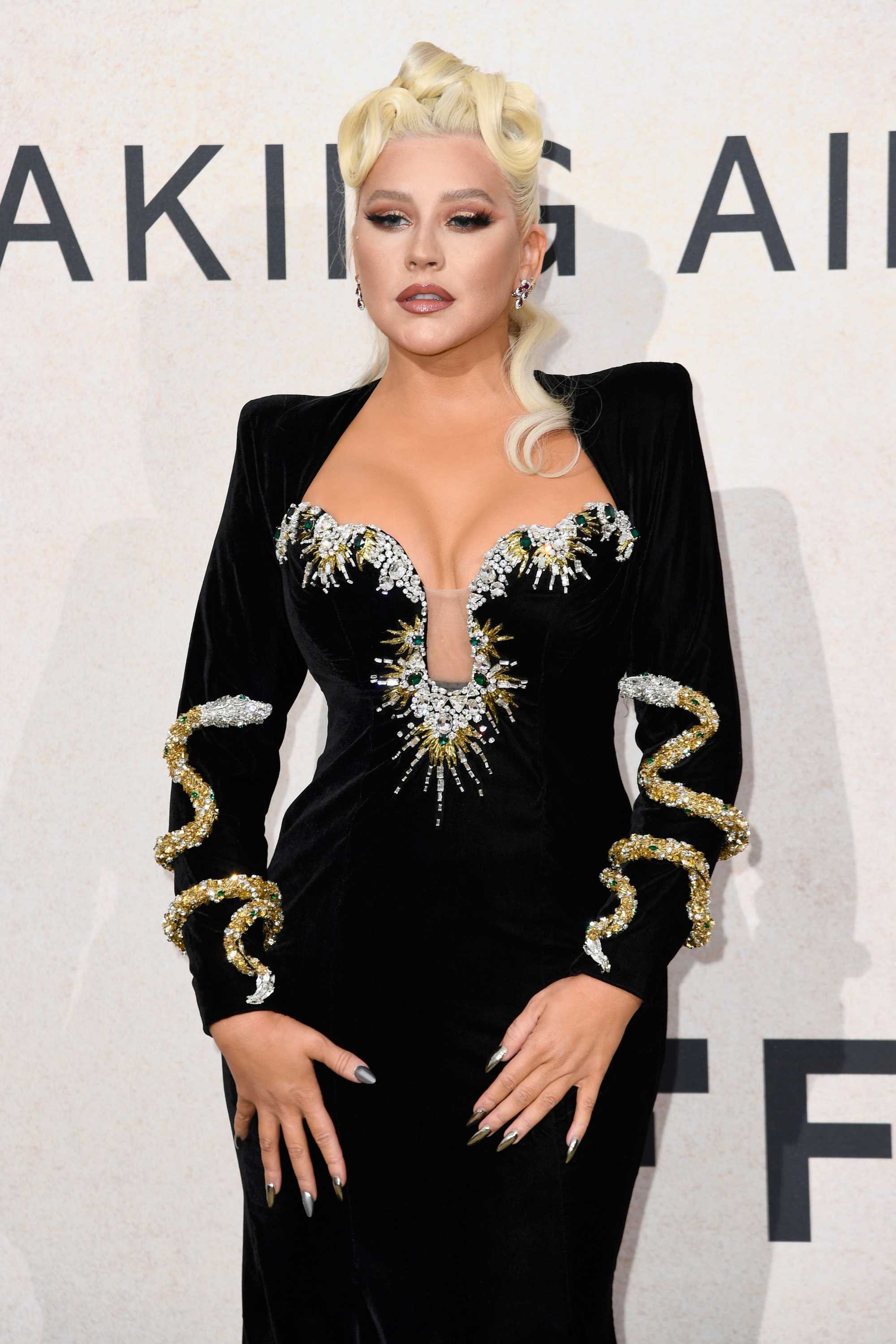 amfAR_Gala_Cannes_2022_-_Arrivals44.jpg
