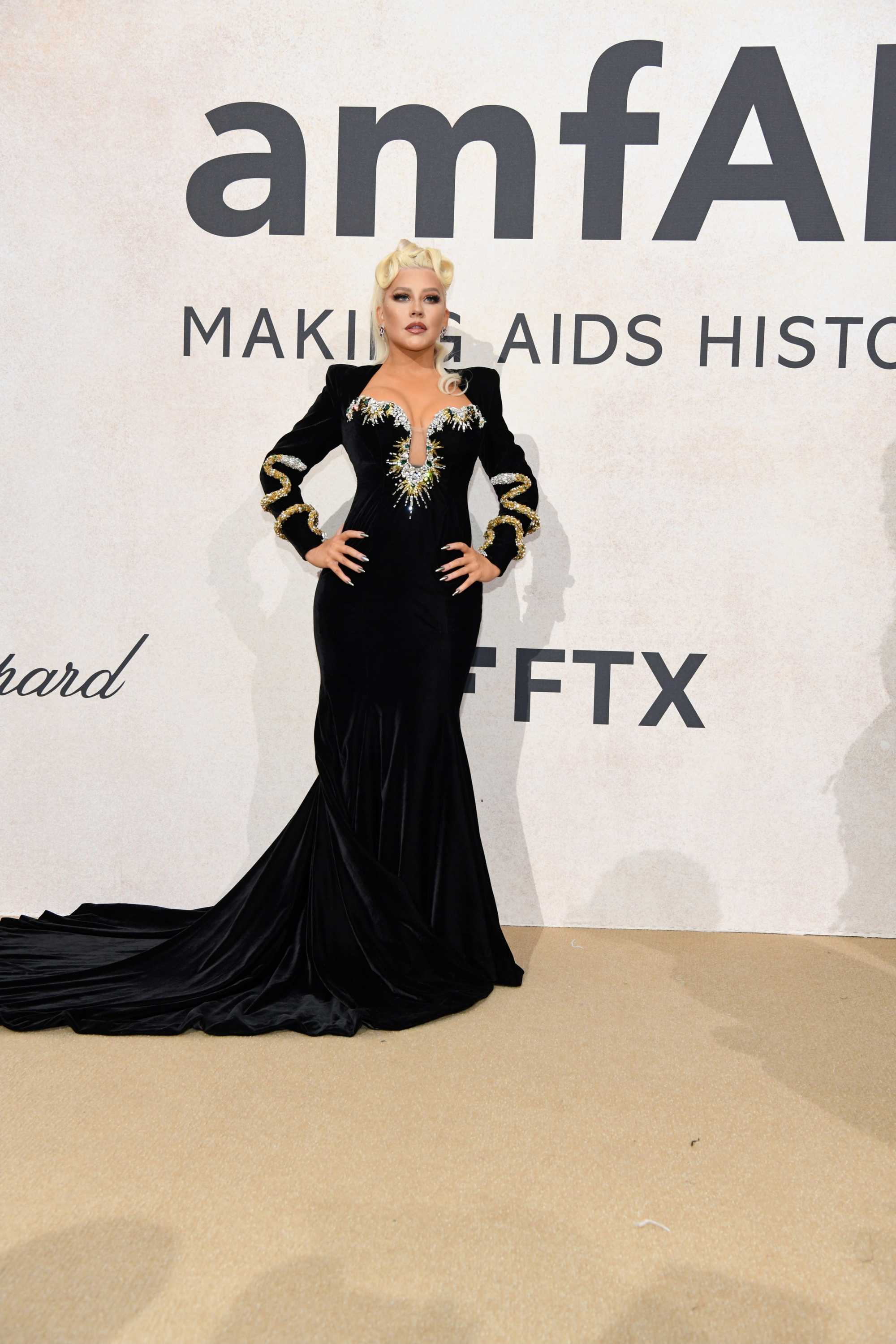 amfAR_Gala_Cannes_2022_-_Arrivals86.jpg