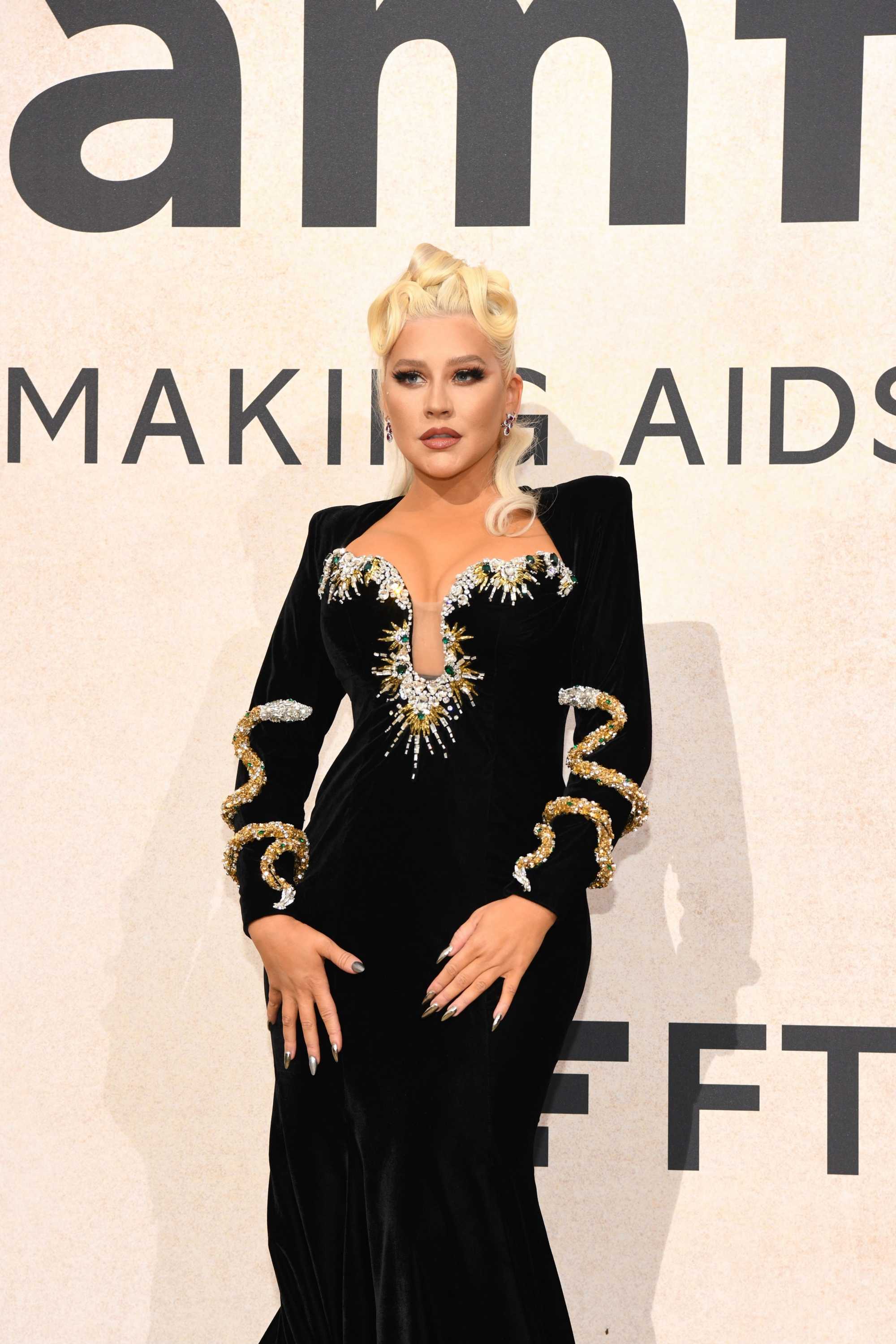 amfAR_Gala_Cannes_2022_-_Arrivals87.jpg