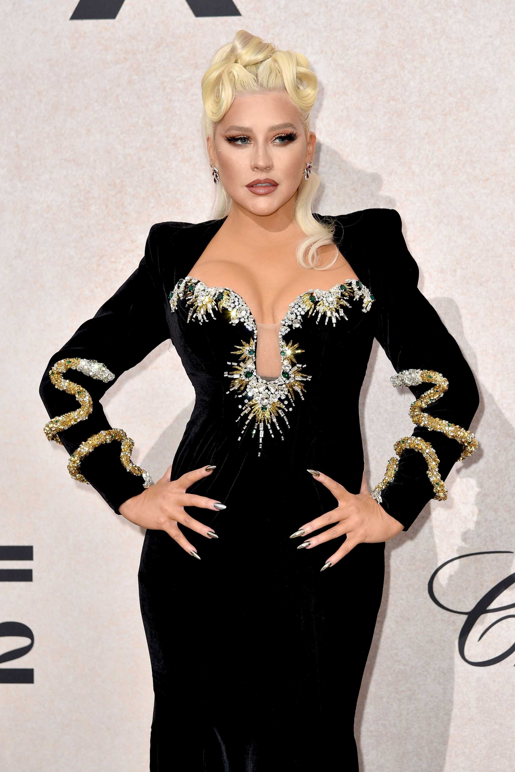 amfAR_Gala_Cannes_2022_-_Arrivals91.jpg