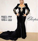 amfAR_Gala_Cannes_2022_-_Arrivals11.jpg