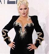 amfAR_Gala_Cannes_2022_-_Arrivals117.jpg